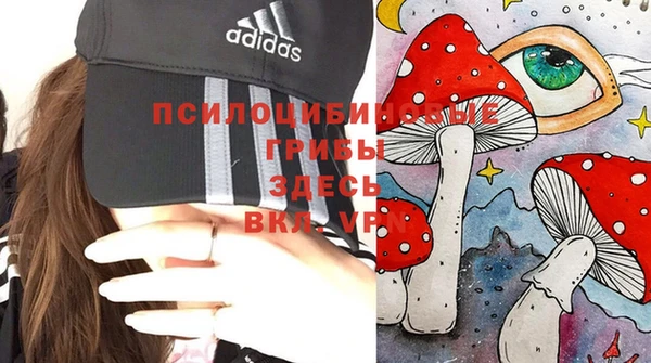 синтетический гашиш Бородино
