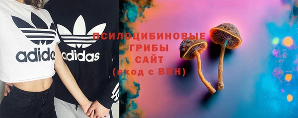 ГАЛЛЮЦИНОГЕННЫЕ ГРИБЫ Беломорск