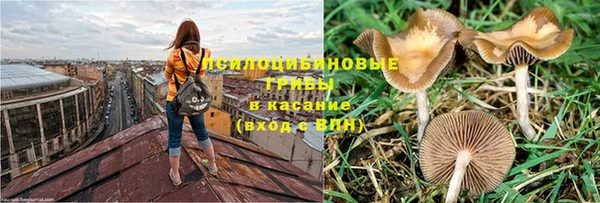 скорость Богородск