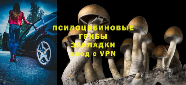 каннабис Богородицк